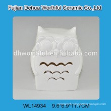 Wholesale elegant white porcelain owl home decor with led light